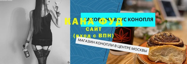гидра Горняк