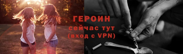 гидра Горняк