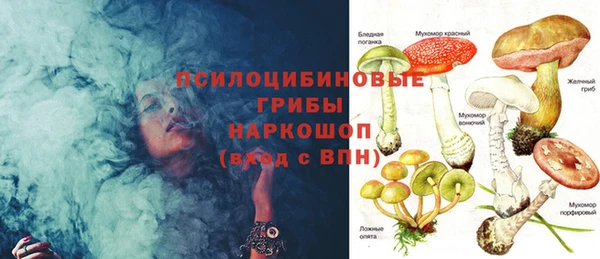 Альфа ПВП Горно-Алтайск