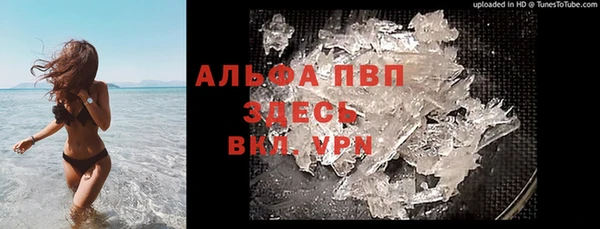 гидра Горняк